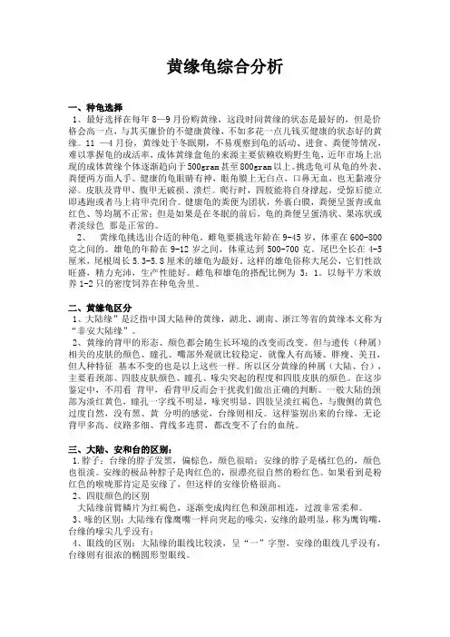 黄缘龟分析