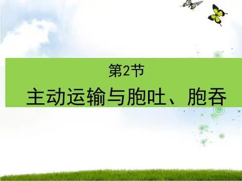 (新教材)高中生物《主动运输与胞吞、胞吐》PPT完整版人教版1