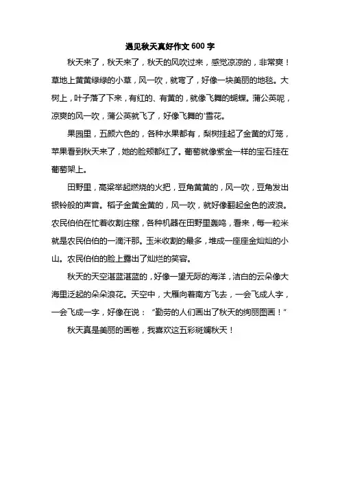 遇见秋天真好作文600字