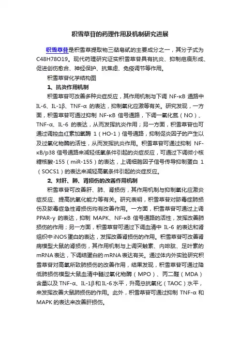 积雪草苷的药理作用及机制研究进展