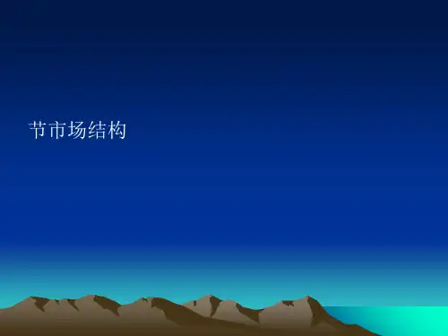 产业组织SCP分析框架(PPT 28张)