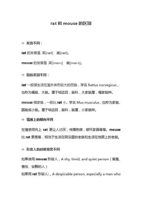 rat和mouse的区别