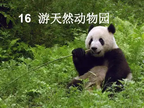 鄂教版小学语文五年级下册 游天然动物园优秀课件PPT