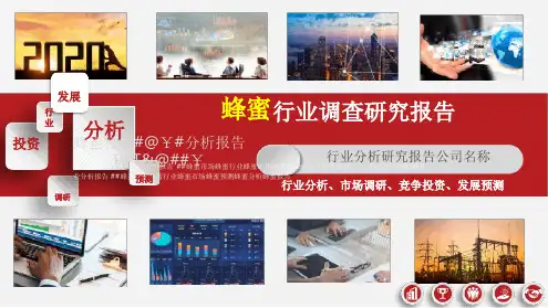蜂蜜行业市场调研分析报告最新PPT课件可修改文字