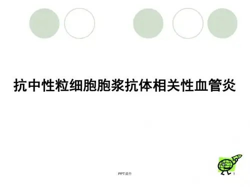 ANCA相关性血管炎  ppt课件