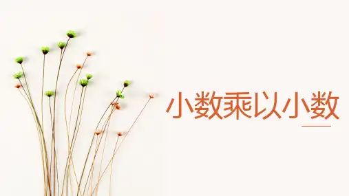 五年级数学上册课件-1.2 小数乘以小数1-人教版