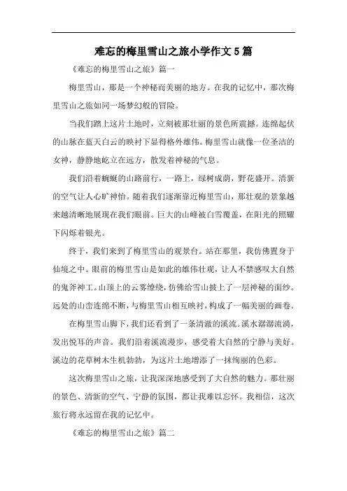难忘的梅里雪山之旅小学作文5篇