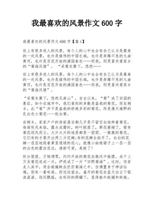 我最喜欢的风景作文600字