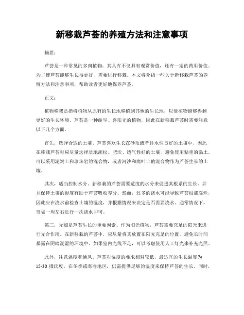 新移栽芦荟的养殖方法和注意事项