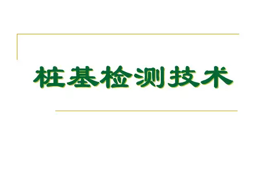 桩基检测技术_ppt