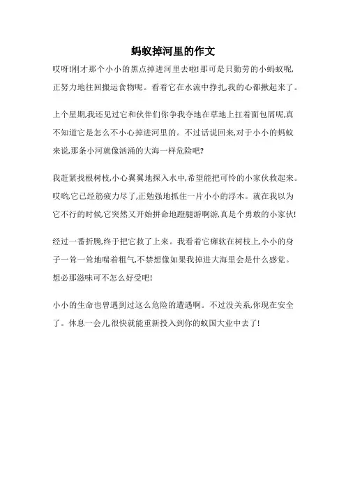 蚂蚁掉河里的作文
