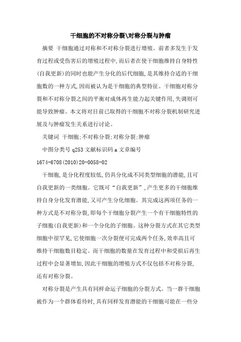 干细胞的不对称分裂-对称分裂与肿瘤