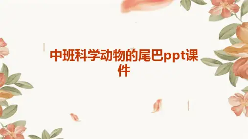 中班科学动物的尾巴ppt课件