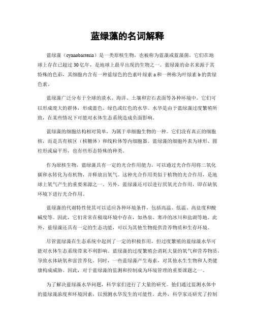 蓝绿藻的名词解释
