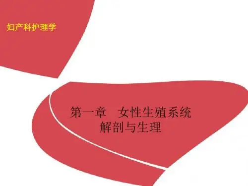 01第一章 女性生殖系统解剖与生理汇总