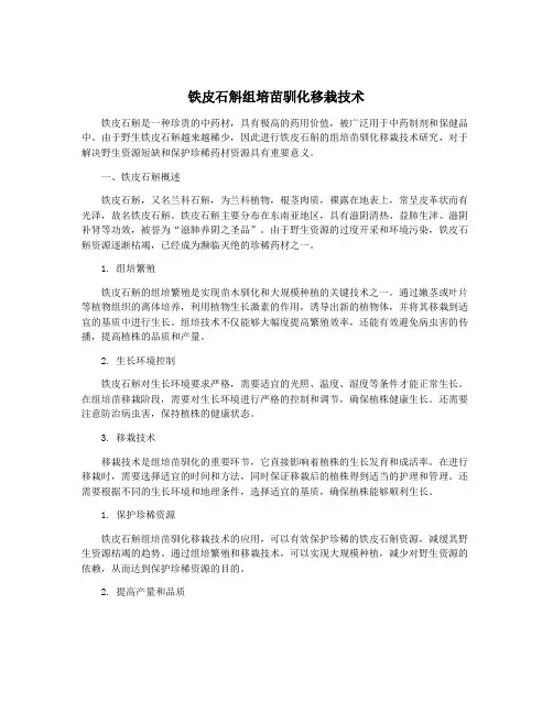 铁皮石斛组培苗驯化移栽技术 4