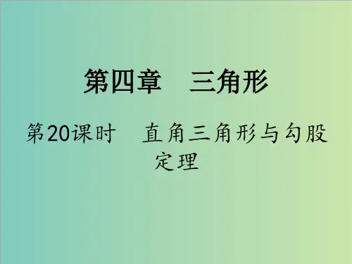 20.第20课时 直角三角形与勾股定理(PPT课件)