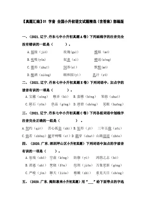 01 字音 全国小升初语文试题精选(含答案)部编版
