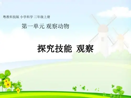 科学公开课课件三年级上册 科学课件 -《探究技能 观察》粤教版(共12张PPT)