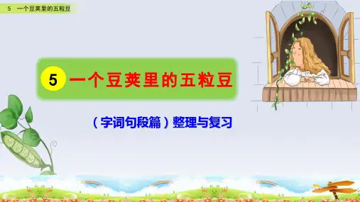 5《一个豆荚里的五粒豆》部编版四年级语文上册整理与复习课件(含字词句段篇)