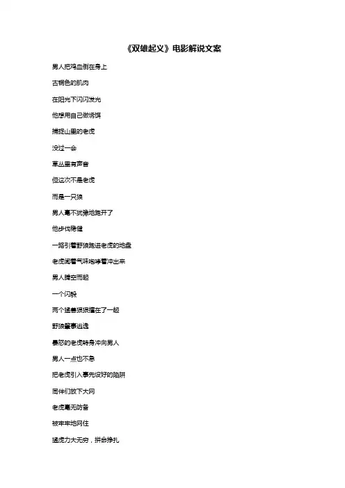 《双雄起义》电影解说文案