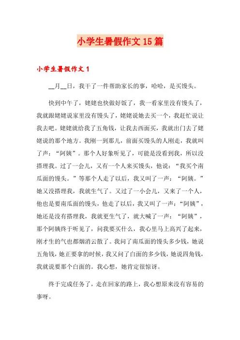 小学生暑假作文15篇