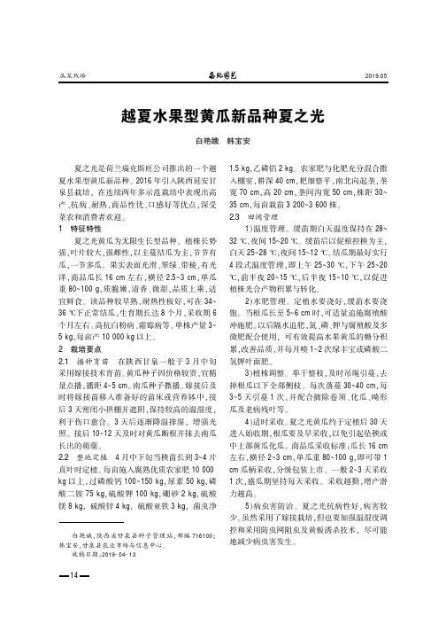 越夏水果型黄瓜新品种夏之光