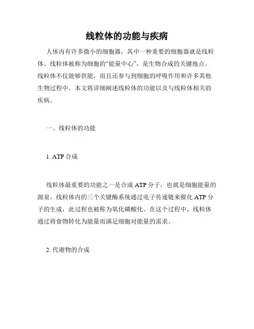 线粒体的功能与疾病