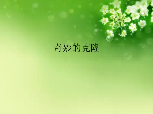 奇妙的克隆 优秀课件