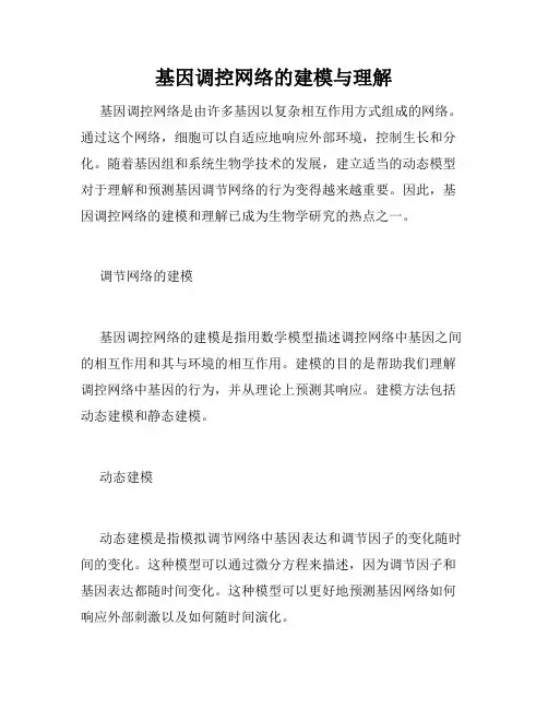 基因调控网络的建模与理解