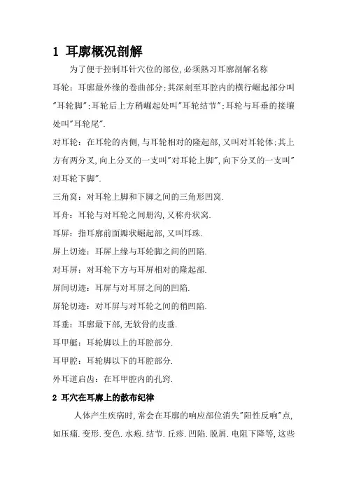 耳穴位置及主治(介绍)