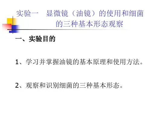 微生物学实验