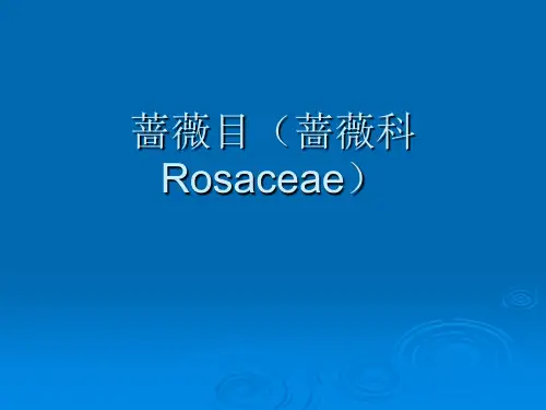 植物生物学-被子植物-蔷薇目