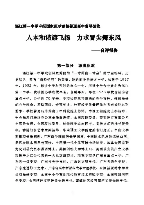 自评报告