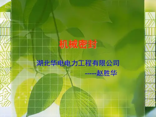 机械密封ppt课件