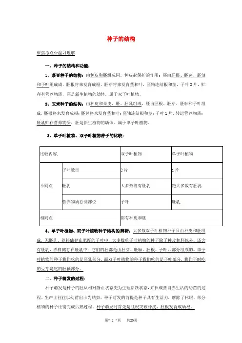 中考生物考点专题总动员(04)种子的结构(含答案)