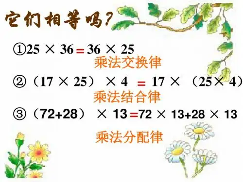 整数乘法运算定律推广到分数ppt[