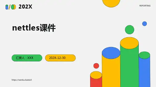 nettles课件PPT