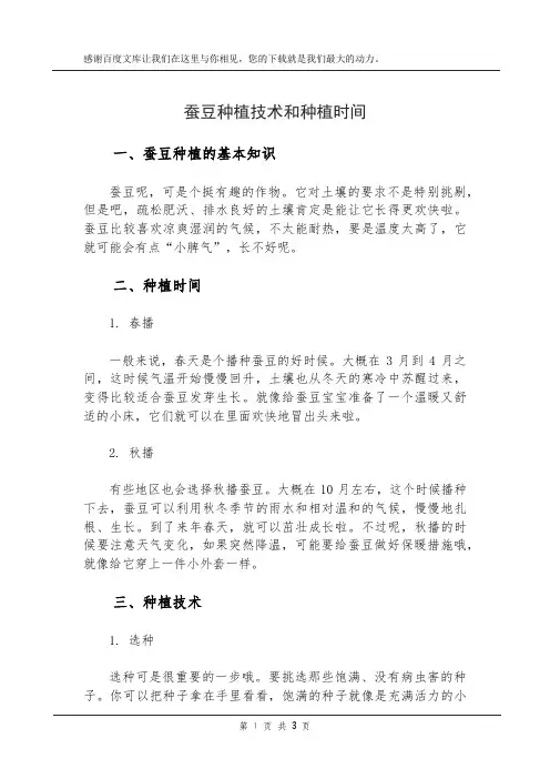 蚕豆种植技术和种植时间