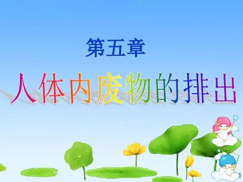 人教版七年级生物下册第四单元第五章《人体内废物的排出》课件 共19张PPT)
