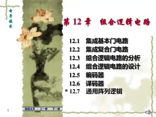 第12章组合逻辑电路-PPT精选