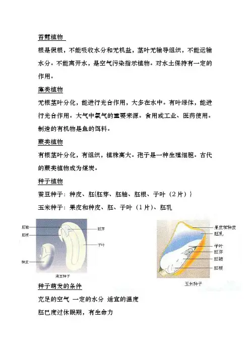 七年级上【初一上学期】生物总结知识点【图文】