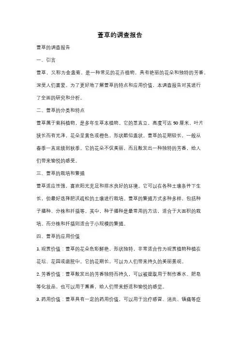 萱草的调查报告