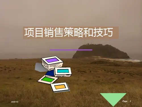 项目销售策略和技巧