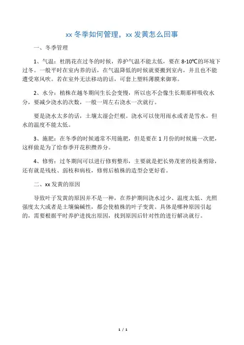 杜鹃冬季如何管理,叶子发黄怎么回事