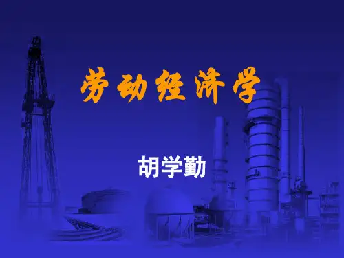 《劳动经济学》教学课件 劳动经济学课件