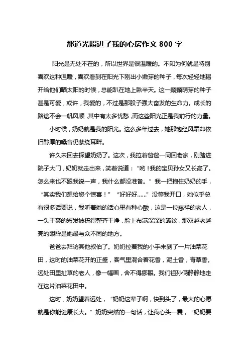 那道光照进了我的心房作文800字
