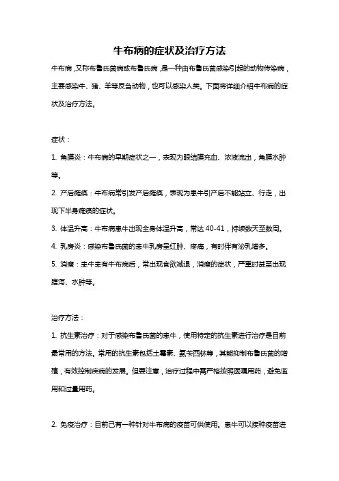 牛布病的症状及治疗方法 2