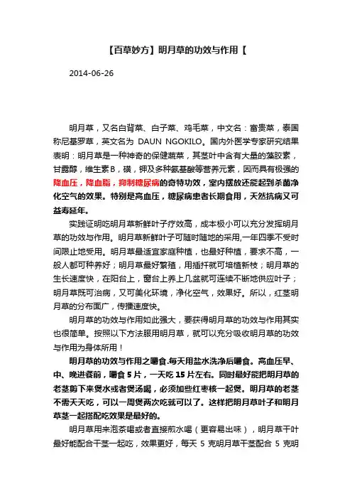 【百草妙方】明月草的功效与作用【