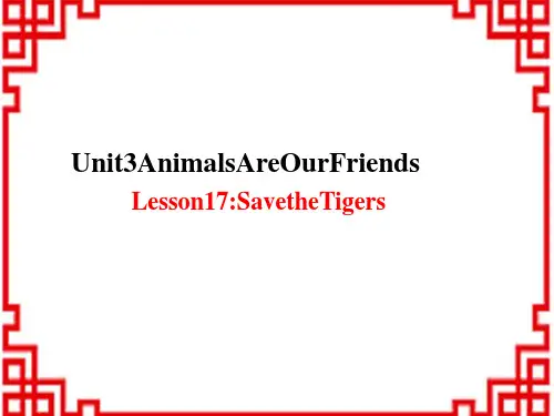 冀教初中八年级下册英语《Lesson 17 Save the Tigers》PPT课件 (2)